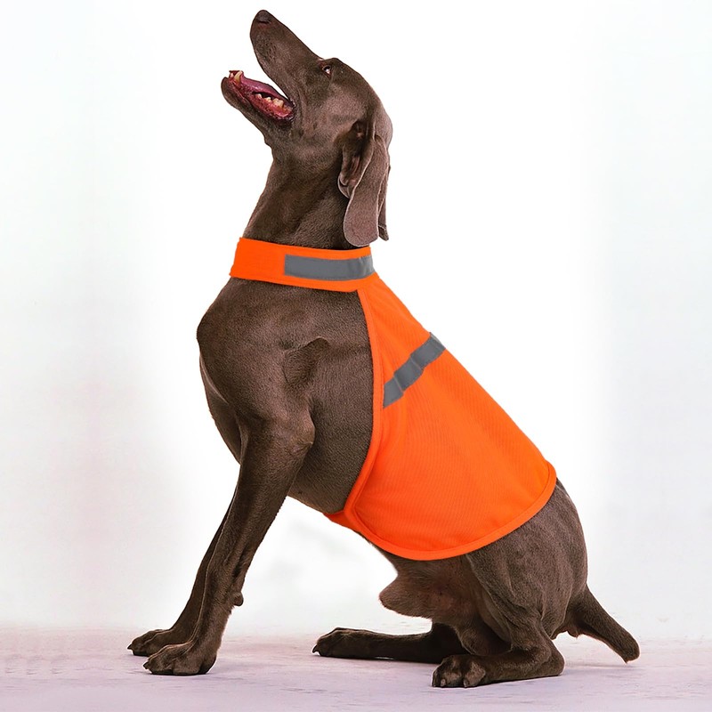 Dog Jacket High Visibility Safety Reflective Dog Vest for Small