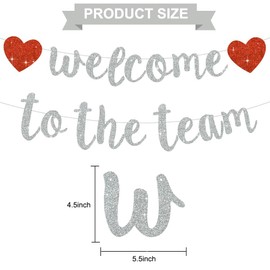 DecoGlee Silver Welcome to The Team Banner,NO DIY,Office Party Decorations for New Teacher Employee Coworker Staff Colleague Team Member