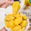 Freeze-Dried Jackfruit Crisps – Unsweetened Plant-Based Snacks | Gluten-Free |