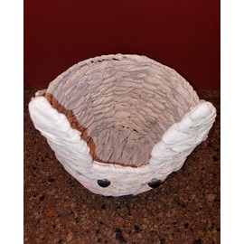 Bed Bath & Beyond Easter Egg Basket Empty, Medium Woven Basket with Handles, Craft, Gifts, Ideas