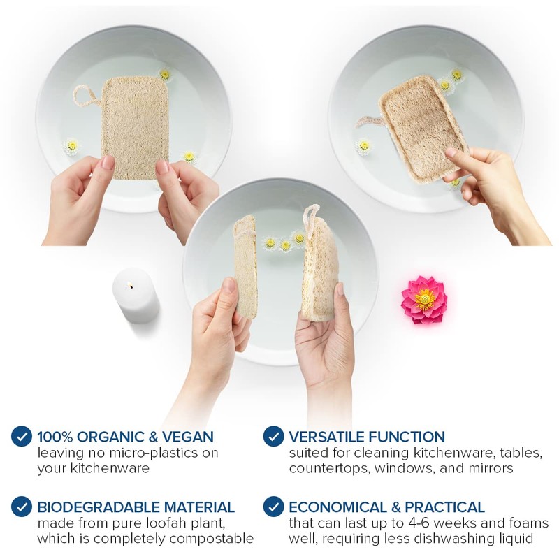Joeji's Kitchen Pack of 8 Natural Eco Dishwasher Sponges -