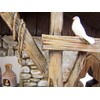 Christian Brands Bethlehem Nights Nativity Scene Creche Figurine, 12 1/4
