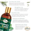 Difeel Champú de Menta y Romero con Biotina