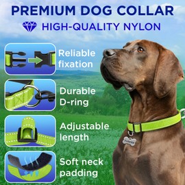 TECEUM - Collar para perro con relleno - Verde ácido, collar para todas las razas y tamaños de gatos y perros, talla XL