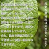 Moru Chu Tea, 0.1 oz (3 g) x 30 Packets,