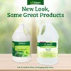 Biokleen Bac-Out Stain Remover for Clothes & Carpet - 128