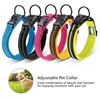 Petcomer Adjustable Reflective Nylon Dog Collar - Padded, Breathable, Anti-Choke,