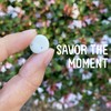 VerMints Organic Breath Mints GingerMint - Real Ginger Flavored Candies