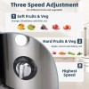 800W Electric Juicer Fruit Vegetable Blender Juice Extractor Citrus Machine