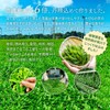 Mizutama Farm Tea House Limited Special Steam, Deep Steamed Ichibancha
