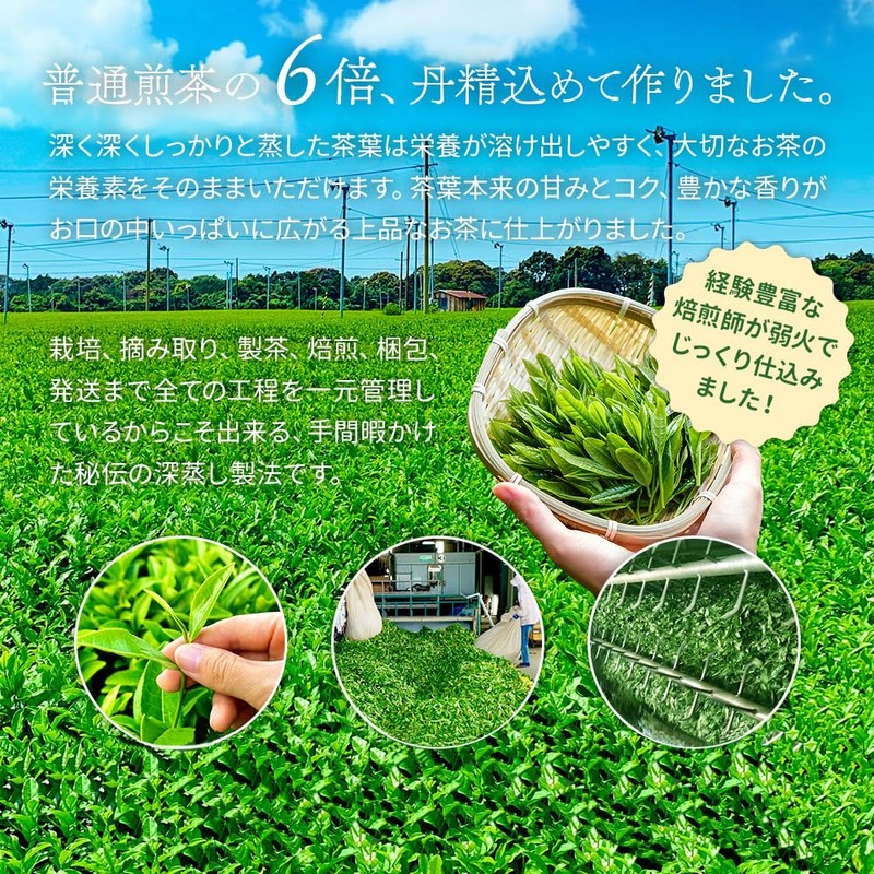 Mizutama Farm Tea House Limited Special Steam, Deep Steamed Ichibancha