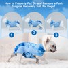 Knafe Recovery Suit for Dogs After Surgery – Breathable Dog