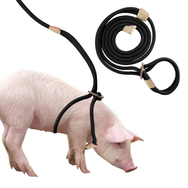 Mini Pig Harness and Leash Adjustable 8ft Rope for Small