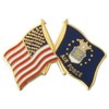 Air Force Flag Lapel Pin