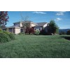 Award Kentucky Bluegrass Seed (5 Lbs.)