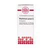 Strychninum Purum C30, 10 g