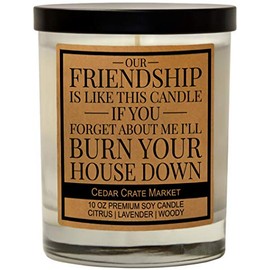 CEDAR CRATE MARKET Our Friendship is Like This Candle, Lavender Scented 100% Soy
