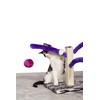 Prevue Pet Products Kitty Power Bounce 'n Spring Scratcher Furniture