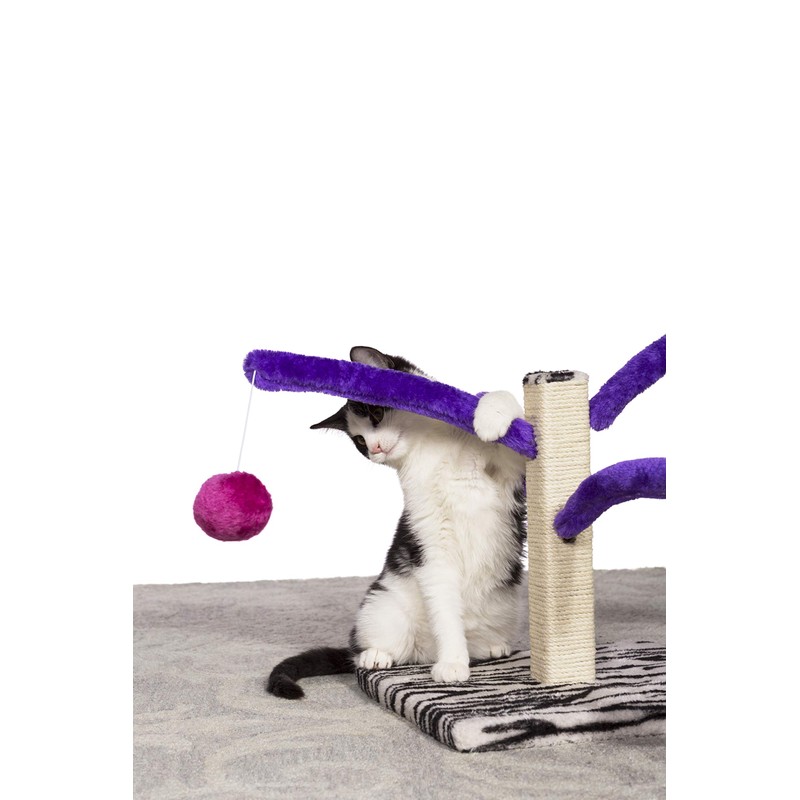 Prevue Pet Products Kitty Power Bounce 'n Spring Scratcher Furniture