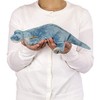 Real Stuffed Brachiosaurus altithorax nesoberi Series