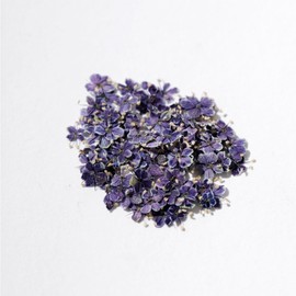1 Boxes 50 pcs Nail Drying Flower, DIY, 3D Nail Art, Plant Theme, Irregular Shape, Flower Stickers Suitable for Care and Small Natural Nail Decoration, Accessories. (Vienna Blue Purple)