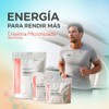 Primetech Nutrition Creatina Monohidratada Micronizada en Polvo 500 gr