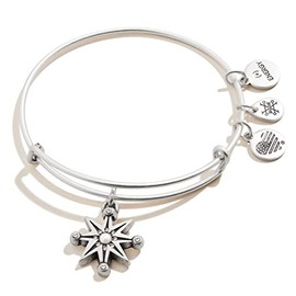Alex and Ani Path of Symbols Expandable Bangle for Women, Starburst Charm, Rafaelian Silver Finish, 2 to 3.5 in