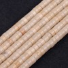 Gem-Inside 2 x 4 mm Natural Cream White Shell Fossil