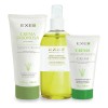 Rutina Skincare Acne Limpieza Tonificacion Correccion Exel