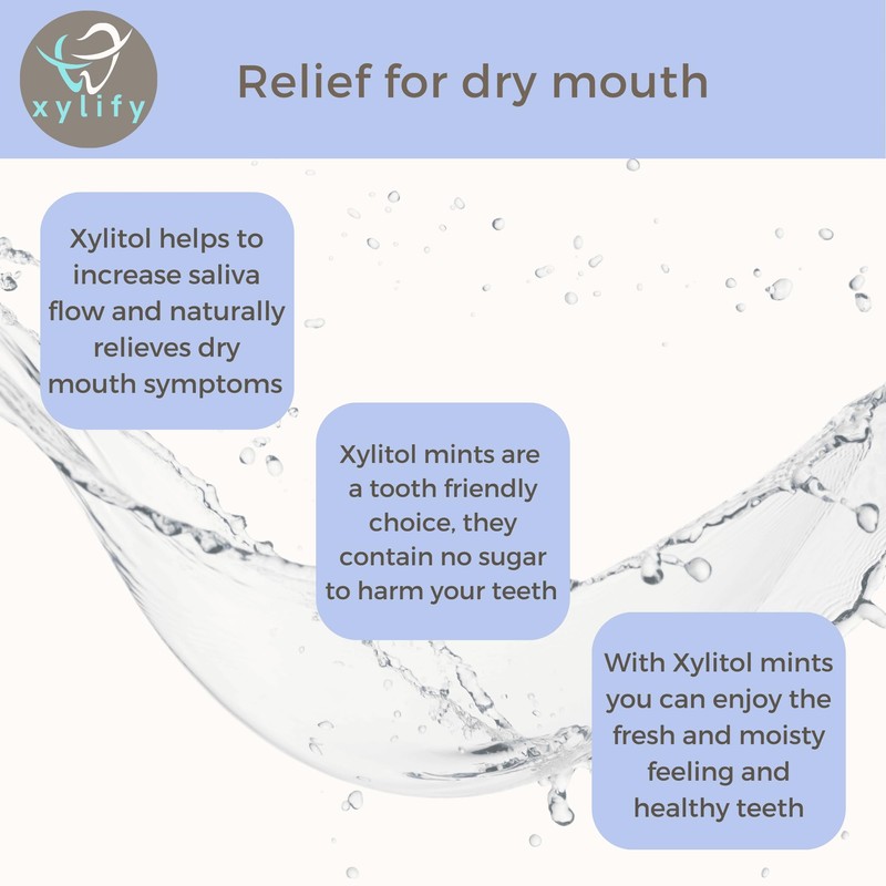 Xylitol Mints for Oral Care - Wild Berries flavor, 100%