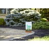 Scotts Scotts Turf Builder THICK'R LAWN Grass Seed, Fertilizer, and