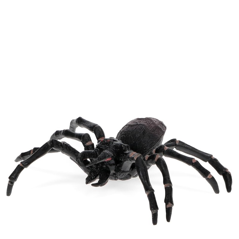 Realistic Tarantula Toy