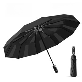 erised's bifrost Fast Folding Automatic Compact Travel Umbrella with Firm Memory Film Large Windproof / Auto Open Close / 10 Ribs / Storm Proof / for Women Men, black