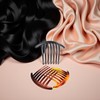 3 Pcs Plastic Hair Side Combs French Twist Comb Tortoise