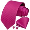HISDERN Hot Pink Ties for Men Stripe Mens Ties and