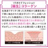 Tokusen Solution Aging Care Set, Hokkaido Collagen (1.1 fl oz