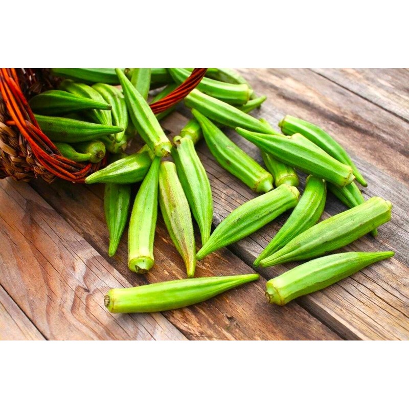 Green Okra 20+ Non-GMO Seeds for Planting