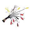 SeDeplacer 24Pin AV-RCA Harness XT91909 Compatible with Pioneer AVH-W4400NEX,AVH-W4500NEX,AVIC-W6400NEX,AVIC-W6500NEX,AVIC-W6600NEX(CDP1803),for Select