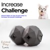 The Odin Dog Treat Puzzle Toy