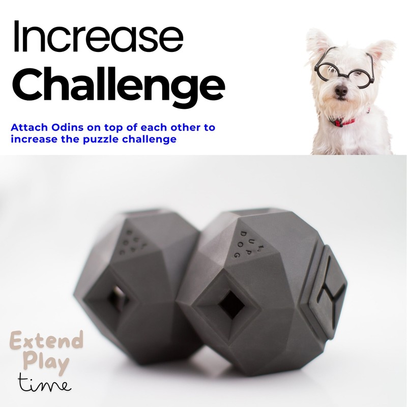 The Odin Dog Treat Puzzle Toy