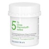 Phametra Urea Urea Ointment 5% | Medical Skin Care | Moisturiser for Dry and Sensitive Skin | Body Care without Fragrances | 100 g