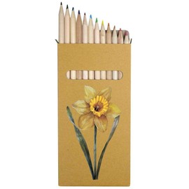 Azeeda 12 x 'Welsh Daffodil' Long 178mm Coloured Pencils/Pencil Set (PE00067967)