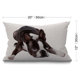 BGBDEIA Cute Funny Various Pet Dogs Human Friends Boston Terrier Cotton Linen Decorative Cushion Cover Throw Pillow Case for Couch Sofa Bed,30 x 50 cm 12 X 20 Inches