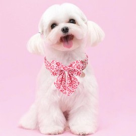 UP URARA PUP Valentine’s Dog Collar with Bow Tie, Pink Heart Bowtie Collar with Metal Buckle, Valentine’s Gift Pet Collar for Puppy Girl Boy Dog or Cat, Wedding Dog Collar, S