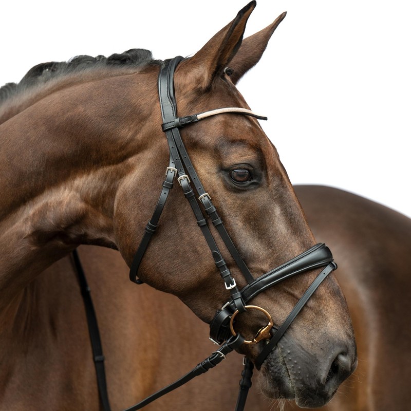 HKM Kopenhagen Trense, Schwarz, Vollblut