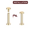 sourcing map 30Pack Brass Chicago Screws, 20x8mm Flat Head Screw