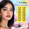 Losha Lashes Wispy Cat Eye Lashes 3D Natural False Eyelashes
