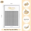 QUEWEL Cluster Lashes 240Pcs Individual Lashes 20D 0.07C Curl 14mm