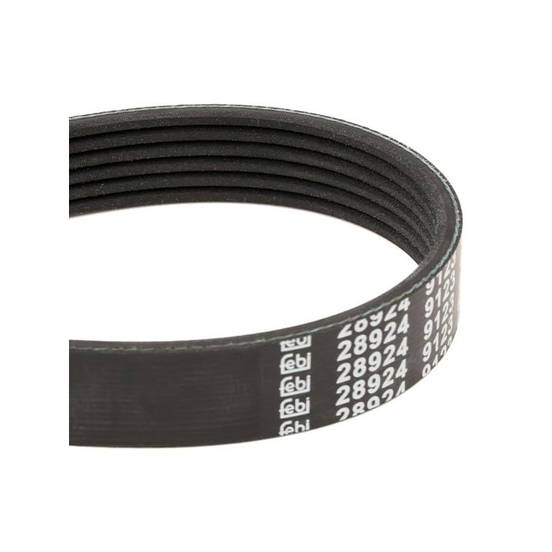 febi bilstein 28924 V-Ribbed Belt, Number of Ribs 6, Pack