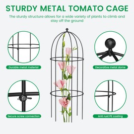 SUNYRISY Metal Garden Arch Trellis for Climbing Plants Outdoor, 15.7" x 31.5" Tomato Cage Obelisk Trellis for Flowers Cucumber Rose Vegetable Support